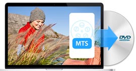 Convert MTS to DVD
