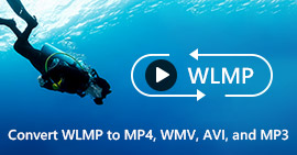 Convert Wlmp