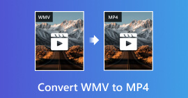 How to Convert WMV to MP4