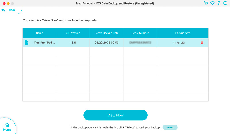 View iPad Backups