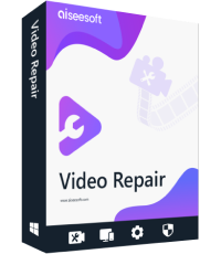 Video Repair