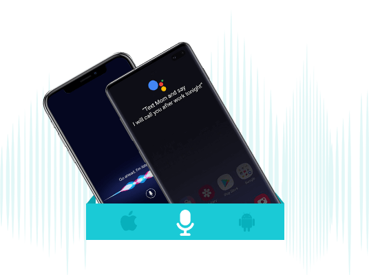 Voice Assistant